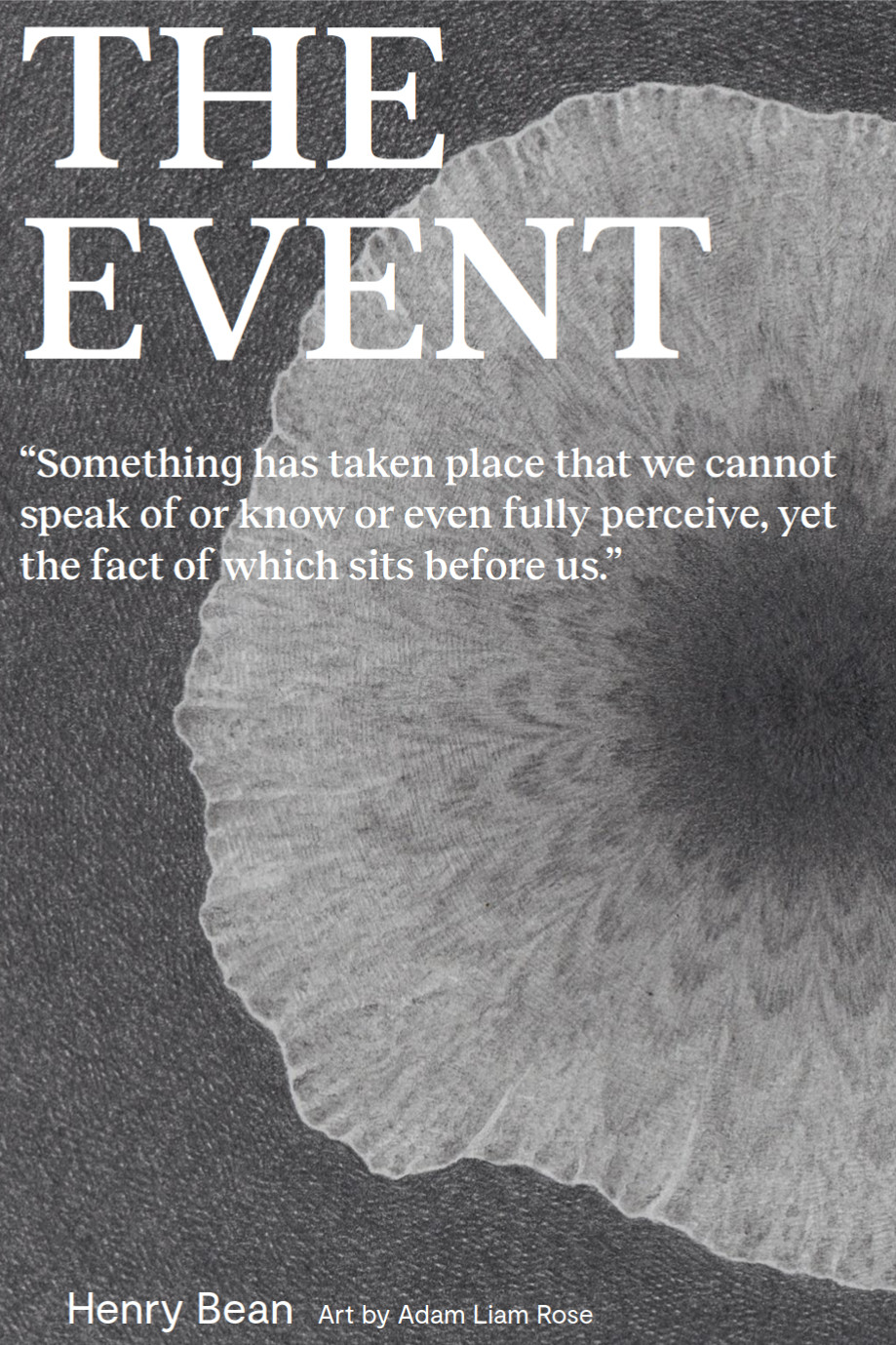 Book cover of The Event.