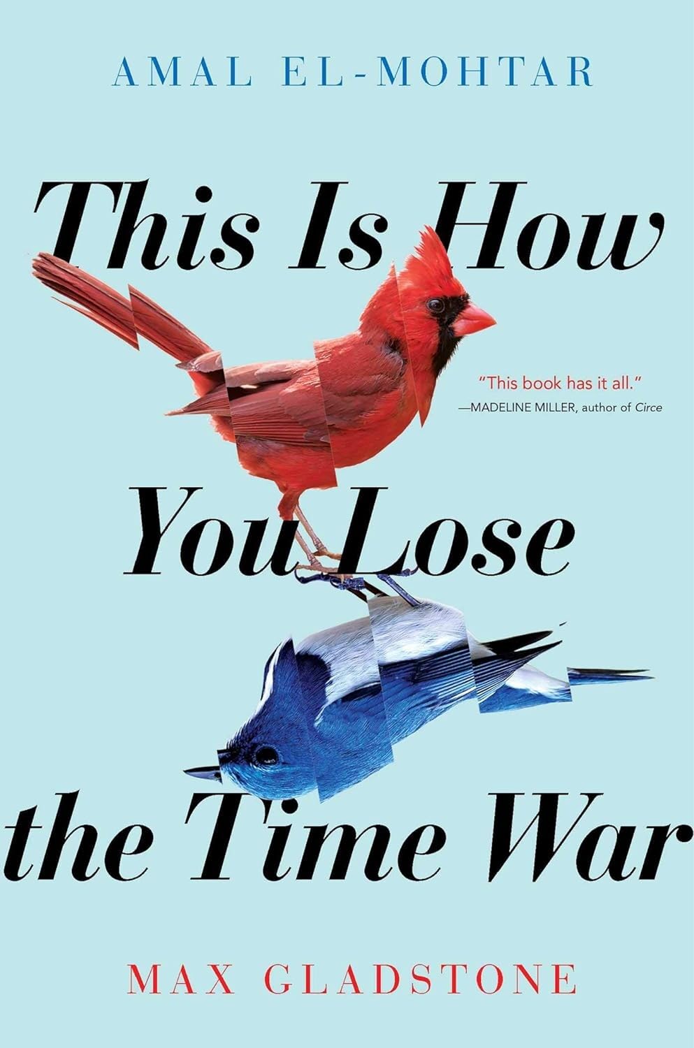 Book cover of This Is How You Lose the Time War.